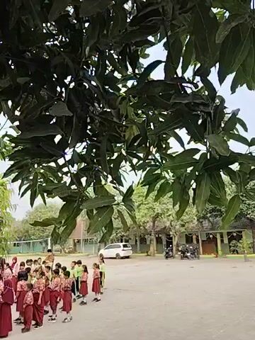 A group of children in maroon and white uniforms are gathered in an outdoor paved area. They are standing in a semi-circle, facing towards the center. Some of the children are looking at someone or something in the center of the circle, while others are looking away. A large tree with dark green leaves is prominently featured in the foreground, casting shadows over the scene. In the background, there are buildings that appear to be part of a school or institutional complex, with a white car and motorcycles parked nearby. The overall impression is of an outdoor assembly or activity involving children at a school.