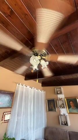 The video shows a ceiling fan spinning rapidly in a room with a wooden plank ceiling. The fan has a golden base and white lampshades. A yellow pull chain dangles from the center. Below the fan, sheer white curtains are drawn, partially obscuring a window. On the wall to the left, a framed painting with flowers is visible. To the right of the curtains, a wall is decorated with several framed portraits and small decorative shelves holding figurines. The room appears to be a living area, possibly in a home, based on the furniture and decor. The lighting suggests it is daytime, though the exact time is not specified. The overall atmosphere seems calm and domestic. No text is visible in the frame.