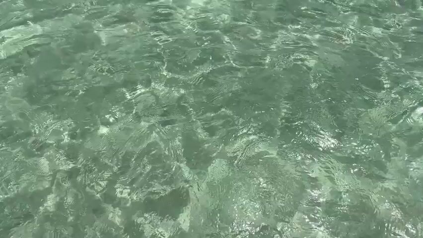 The video shows a top-down view of shallow, clear green water. The surface of the water is rippling, creating shifting patterns of light and shadow on what appears to be a sandy or rocky bottom. The movement of the water suggests gentle waves or currents. There are no people or objects visible in the frame. The environment is natural, likely a body of water such as the ocean, a lake, or a clear stream.