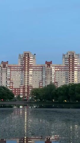 This vertical video clip shows a serene waterscape with a reflective surface in the foreground and a city skyline in the background. The water is calm and appears to be a pond or lake, covered with a dense layer of aquatic vegetation, possibly lily pads, that create a textured, dappled pattern. The reflections of the buildings and trees are visible on the water's surface, adding depth and a sense of stillness to the scene.

Behind the water, a line of lush green trees forms a verdant barrier. Beyond the trees, a series of multi-story residential buildings dominate the skyline. These buildings are modern, with a mix of cream, beige, and terracotta colored facades, and feature numerous windows, many of which are illuminated, suggesting that it is evening or early morning. The architecture is characteristic of Soviet-era or post-Soviet urban development.

The sky above is a pale, clear blue, with a few wispy clouds scattered across it. The lighting suggests that the time of day is either dusk or dawn, lending a peaceful and quiet atmosphere to the video. There are no people prominently featured in the clip, and no specific objects stand out other than the natural elements and the buildings.

The location is identified as Irinovka, Russia. The overall mood is tranquil and contemplative, evoking a sense of urban living coexisting with natural elements. There is no visible text within the frame.