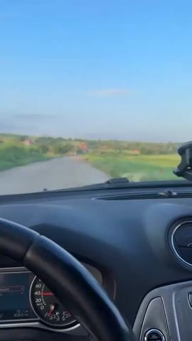 The video captures a car's interior from a first-person perspective, with a view through the windshield of a paved road stretching into the distance under a clear blue sky. On both sides of the road, vibrant green fields extend, with a glimpse of houses in the background. The dashboard is visible, displaying gauges, a steering wheel, and a phone holder. As the video progresses, the camera pans to the right, showing the passenger side of the car, with the reflection of the road in the side mirror and more green fields outside the window. A touch of red from poppies can be seen among the green foliage.