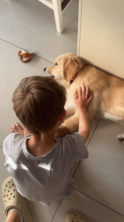 Boy plays with golden retriever puppy in Netanya