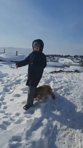 A child dressed in winter clothes stomps on a golden spaniel dog in the snow. The child is wearing a black jacket, gray pants, and snow boots, with a hood up. They are standing in a snowy field with houses visible in the background. The dog is lying in the snow and appears to be playful despite the stomping. The sky is bright and clear, indicating a sunny day.
