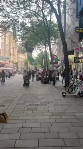 Here's a detailed description of the video:

The video shows a street lined with trees and buildings. There are several Palestinian flags hanging from the trees, interspersed with green leafy branches. People are walking along the paved sidewalk, some of whom appear to be gathering in a small group. One person is pushing a stroller, and others are walking in various directions. The scene is set during daylight, and the overall atmosphere seems calm.