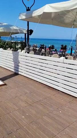 The video shows a pathway lined with palm trees and a wooden deck with a white fence. Beyond the fence, tables and chairs are set up outside a restaurant, with umbrellas providing shade. The ocean is visible in the background, under a clear blue sky. The camera pans across the scene, capturing the ambiance of a seaside establishment on a sunny day. There are no visible people interacting in the foreground.