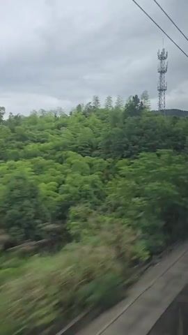 The video begins with a blurred shot of lush green trees and a cell tower under a cloudy sky, suggesting movement, possibly from a vehicle. The perspective shifts to the interior of a train carriage. The viewer can see the reflection of the passing scenery in the window, mixed with the train's interior, including overhead wires and a grey ceiling. Towards the end, the camera focuses on a vertical panel beside a wooden door, revealing elevator-like buttons: a speaker grille, a red and green light, two circular buttons with directional arrows, and a large red emergency stop button. The panel is mounted on a metal strip next to the door.