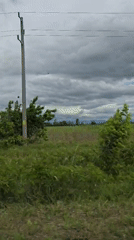 Rural landscape with red flowers filmed from vehicle near Pazardzhik