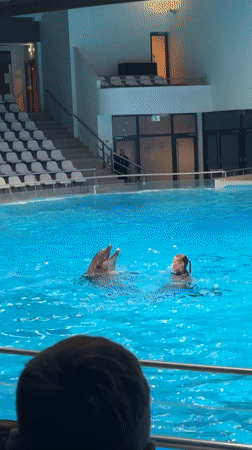 Dolphin show in full swing at Klaipėda indoor aquarium