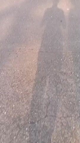The video shows a first-person perspective of someone walking along a paved path in an outdoor park or open area. Initially, the shadows of the person filming and another individual are visible on the path. The path is surrounded by dry, earthy ground with scattered trees and some greenery. As the camera moves forward and pans slightly, a wider view of the park is revealed. A large, mature tree with a broad canopy dominates the distant background, centered in the frame. Other smaller trees and vegetation are dispersed across the landscape. The sky is bright and clear, indicating daytime conditions. The ground appears dry and somewhat parched in places. A few light poles are visible along the path and within the park. No distinct human figures are clearly identifiable, apart from the shadows on the path. There is no visible text in the video. The setting is Parroquia Ocumare, Venezuela.