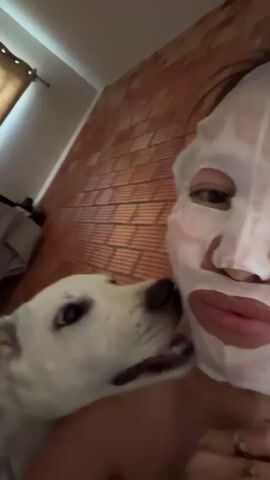 A close-up video shows a person wearing a white sheet mask. A white dog with floppy ears is nuzzling the person's cheek. The background consists of a brick-patterned wall and a hint of a curtain. The video is short, lasting only a few seconds.