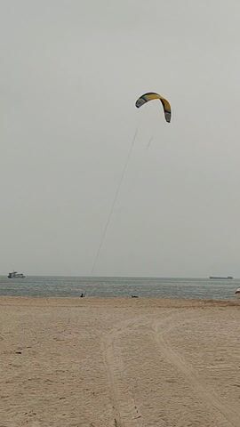 The video shows a kite flying high above a beach on a cloudy day. The kite is black, yellow, and blue, and is attached to a long string. The beach is sandy, with tire tracks and some figures lying in the sand. The ocean is visible in the background, with boats on the water. The sky is overcast and gray.