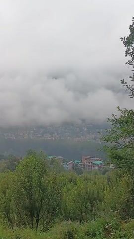 This is a vertical video showing a misty, overcast landscape. In the foreground, lush green trees dominate, some bearing red fruit. Beyond the trees, a town or village is visible nestled in the valley, partially obscured by low-hanging clouds and mist. The buildings appear to be a mix of residential and commercial structures, with some showcasing colorful roofs. The overall atmosphere is serene and a bit mysterious due to the fog.
