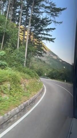 The video shows a view from a moving vehicle, likely a bus, looking out a window onto a winding road. The road is paved and has a white line marking the edge. On the left side of the road, there is a steep embankment covered in greenery and tall, slender trees. The trees have a textured bark and their branches reach upwards. The embankment is lined with a low stone wall. In the background, a mountain slope is visible, covered in vegetation and bathed in the warm light of what appears to be either sunrise or sunset. The sky is clear and blue. On the right side of the video, a blue curtain is visible, suggesting the perspective is from inside the passenger area of the vehicle. There are no people visible in the video. The video appears to be captured during daylight hours.