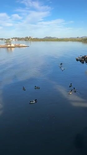 Tourist captures peaceful morning scenes along Fethiye Turkey waterfront