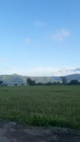 The video captures a wide shot of a grassy field under a clear blue sky with scattered clouds. In the distance, rolling hills form a scenic backdrop, with a few trees dotting the landscape. The foreground shows the edge of the field, with some dirt and grass visible. The camera appears to be stationary, offering a static view of the natural environment. There are no people or animals visible in the frame, and no actions or interactions are occurring. The lighting suggests it is daytime, possibly morning or late afternoon, given the soft light on the landscape. The overall impression is one of tranquility and natural beauty.