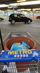 Shopper wheels cart with terracotta pot across Sankt Augustin parking lot