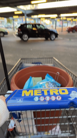 Shopper wheels cart with terracotta pot across Sankt Augustin parking lot
