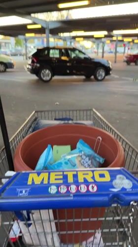 Shopper wheels cart with terracotta pot across Sankt Augustin parking lot
