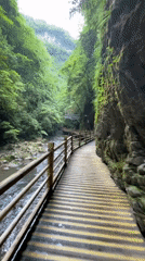 Morning walk captured on forest boardwalk in Zhangjiajie canyon