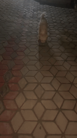 Digital watch spotted on white tiled floor in Dar es-Salaam