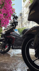 Rainy morning in Mũi Né — streets, breakfast, and blooms