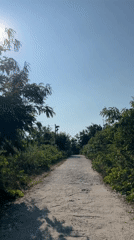 Motorcycle journey through Bắc Nha Trang streets on sunny day