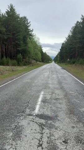 A man walks away from the camera down a long, gray asphalt road flanked by evergreen forests under an overcast sky. The road has a faded white line down the center and patches of cracking and repairs. The man is wearing a yellow hoodie, beige pants, and red and black sneakers.  The scene gives a sense of isolation and distance.