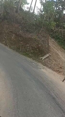 The video shows a first-person perspective of someone riding a motorcycle on a paved road. The road appears to be in a rural or mountainous area with vegetation on either side. There are trees and a steep, dirt-covered embankment visible. The sky is partially cloudy. The rider's helmet is partially visible in the foreground. The motorcycle's handlebars and part of the fuel tank are also visible. The video is shaky, suggesting movement.