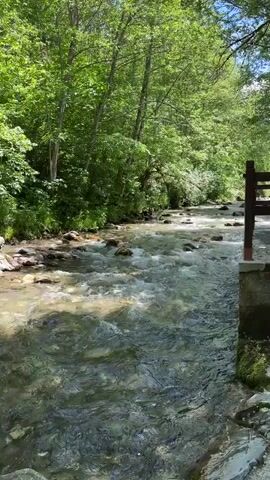 A fast-flowing river winds through a lush green forest. Sunlight dapples the water, illuminating the rocky riverbed below. Trees with dense foliage line the banks, their branches reaching towards the sky. A wooden railing is visible on the right side of the frame, suggesting a walking path or viewing area. The water appears clear and clean, and the overall atmosphere is peaceful and natural.