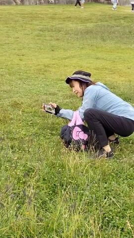 A woman wearing a light blue jacket, dark pants, and a hat crouches in a grassy field, holding a smartphone up to take a picture. Two alpacas, one beige and one brown, graze on the grass near her. The field is mostly green with some purple weeds.  Another person is faintly visible in the background.