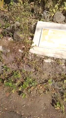 A tombstone with an inscription is partially overgrown with vegetation. The tombstone is rectangular with a light-colored surface, possibly marble or granite, with some yellowing or discoloration. It is set into a mound of earth and surrounded by rocks and green plants. The ground in the foreground is dirt and gravel. The overall scene suggests an outdoor location, possibly a cemetery or a historical site, that has not been recently maintained.