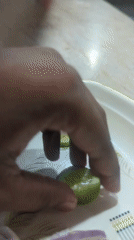 Cucumber and onion slices on a patterned white plate