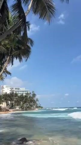 The video shows a beach scene with waves gently rolling in on a sandy shore. Palm trees are visible on the left side of the frame, partially obscuring a view of a white multi-story building, possibly a hotel or resort, further back along the shoreline. The sky is blue with scattered clouds. The camera is static and no people are clearly visible.