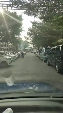 The video shows a view from inside a vehicle, looking forward. A paved road or parking lot is visible, lined with parked cars on both sides. Trees with green foliage form an overhead canopy. In the distance, a person wearing a blue shirt is walking away from the camera down the road. Buildings are visible on the left side of the road. The sky appears overcast or hazy.
