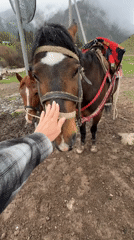 Morning horseback ride captured in Kyrgyzstan's Jeti-Ögüz mountains