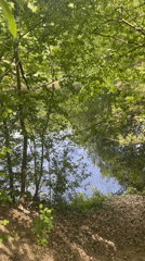 Rural scenes documented: horses, pond, trees, structures observed