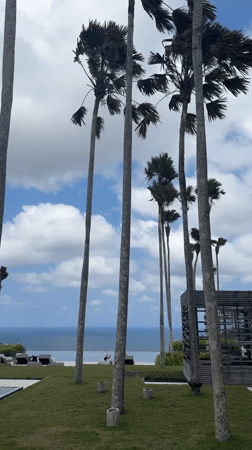 Poolside views and resort sculptures at a Kuta Selatan property