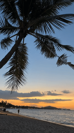 Twilight palm beach scene, Ko Samui