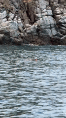 Early morning swimmer spotted near rocky coast in Vietnam