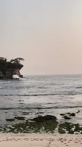 The video shows a wide shot of a rocky coastline at sunset. In the foreground, there is a sandy beach with some dark, moss-covered rocks in the shallow water. The middle ground features the ocean with gentle waves breaking against a rocky cliff face on the left. A lone tree grows precariously on top of the cliff. In the distance, several small figures can be seen in the water, appearing to be surfers. The sky is a soft, pale orange, indicating the sun is low on the horizon. The overall mood is serene and peaceful.