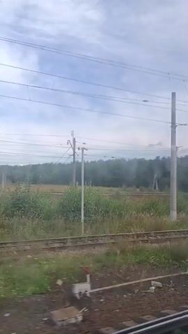 The video shows a view from a moving train looking out the window. The train tracks are visible in the foreground, with ballast and ties. Beyond the tracks is a strip of overgrown grass and bushes, then a line of trees. Tall poles with overhead wires, likely for an electric train, are visible in the middle ground and background. The sky is cloudy. The scene appears to be rural or semi-rural.