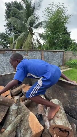 A young man in a blue shirt and shorts struggles to climb out of a large metal container filled with logs. Another young man, already out of the container, is watching him and appears to be smiling. The container is outdoors in a yard with grass, a stone wall, trees, a white house, a pile of sand, and some construction bricks visible.