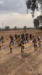 Wedding, traditional dances celebrate across northern Nigeria communities