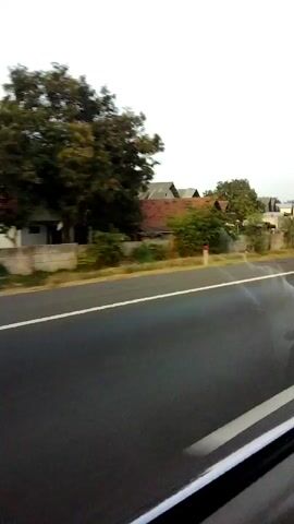 The video shows a roadside view from a moving vehicle. The asphalt road occupies the lower half of the frame, with a white line marking the lane. The upper half reveals a rural or suburban landscape. A large, leafy tree is prominent on the left, casting shadows. Behind it, houses with reddish-brown roofs are visible, nestled among other trees and vegetation. A low wall borders the property on the left. The sky is overcast and bright. The perspective suggests the camera is looking out of a vehicle window.