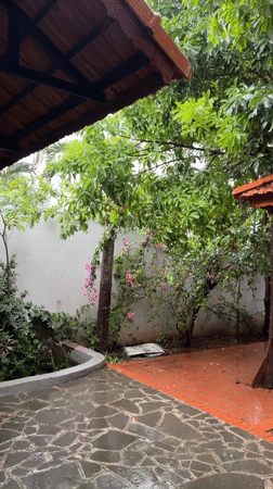 Kitten's morning routine captured in Vietnamese coastal town