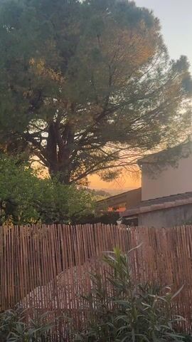 The video shows a view of rolling hills at sunset, framed by trees and a wooden fence. The sky is a gradient of orange and pink. In the foreground, there's a tall tree on the left with dense foliage. A portion of a building's roof is visible, and the fence is made of vertical wooden slats. The hills in the distance are blurred, creating a sense of depth. There are no people visible in the video.