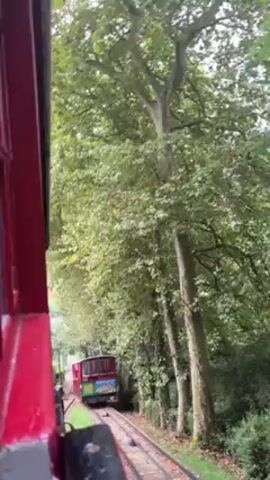 A narrow-gauge train car moves along a track amidst lush greenery. The car is painted red, partially visible on the left side of the frame. Looking ahead, another train car, predominantly red with a green stripe, is visible further down the track. Thick foliage lines both sides of the tracks, creating a tunnel effect. Sunlight filters through the dense canopy, illuminating the scene. The video is captured from the perspective of someone inside the moving train car.