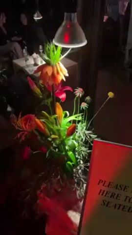 The video shows a floral arrangement under a heat lamp in a restaurant or bar. The arrangement includes orange and red flowers, as well as greenery. A sign next to the flowers reads "Please wait here to be seated". In the background, people are seated at tables, talking.