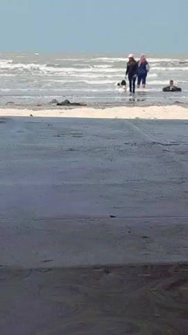 Two individuals, appearing to be women, stand in shallow water at a beach. One is wearing a dark long-sleeved shirt and pants, and the other is wearing a light-colored headscarf and dark clothing. A small, dark object, possibly a dog, is near them in the water. Another person is visible further out in the water, submerged to their shoulders. The foreground of the video shows a dark, textured surface, possibly a paved area or a wet sand surface with a pattern. The background consists of the ocean with waves and a hazy sky. The overall scene depicts a casual beach environment with people interacting in the water.