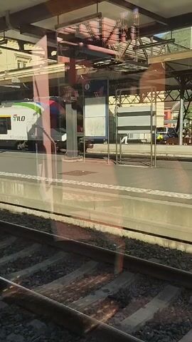 The video shows a train at a station, viewed from inside another train. The train visible outside is white with green and black stripes, and the word "TILO" is visible on its side. It has red doors and appears to be stationary. The platform is visible, with a track and gravel in the foreground. The lighting suggests it is daytime. There are reflections on the window through which the video is filmed, including what appears to be the interior of the train the viewer is in.